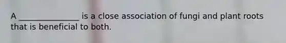 A _______________ is a close association of fungi and plant roots that is beneficial to both.