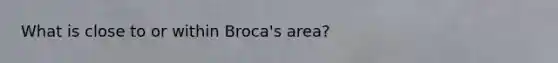 What is close to or within Broca's area?