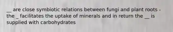 __ are close symbiotic relations between fungi and plant roots -the _ facilitates the uptake of minerals and in return the __ is supplied with carbohydrates