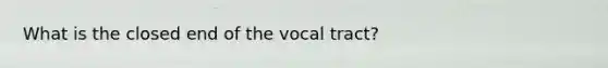 What is the closed end of the vocal tract?