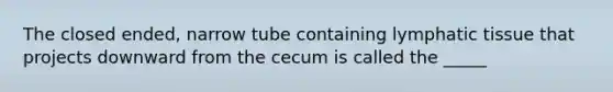 The closed ended, narrow tube containing lymphatic tissue that projects downward from the cecum is called the _____