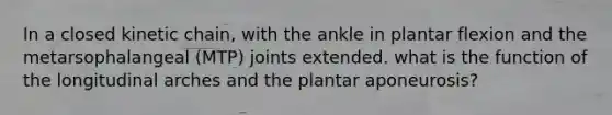 In a closed kinetic chain, with the ankle in plantar flexion and the metarsophalangeal (MTP) joints extended. what is the function of the longitudinal arches and the plantar aponeurosis?