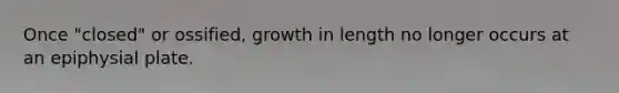 Once "closed" or ossified, growth in length no longer occurs at an epiphysial plate.