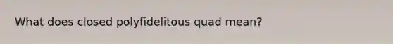 What does closed polyfidelitous quad mean?