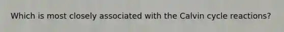 Which is most closely associated with the Calvin cycle reactions?