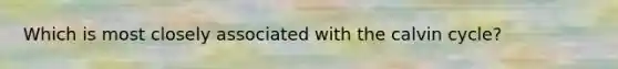 Which is most closely associated with the calvin cycle?