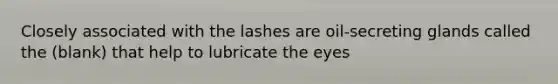 Closely associated with the lashes are oil-secreting glands called the (blank) that help to lubricate the eyes