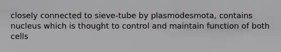 closely connected to sieve-tube by plasmodesmota, contains nucleus which is thought to control and maintain function of both cells