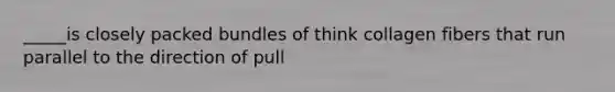 _____is closely packed bundles of think collagen fibers that run parallel to the direction of pull