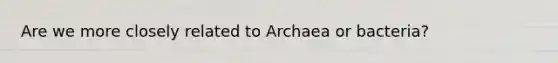 Are we more closely related to Archaea or bacteria?