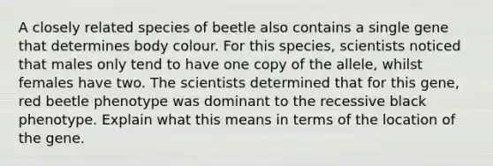 A closely related species of beetle also contains a single gene that determines body colour. For this species, scientists noticed that males only tend to have one copy of the allele, whilst females have two. The scientists determined that for this gene, red beetle phenotype was dominant to the recessive black phenotype. Explain what this means in terms of the location of the gene.