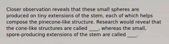 Closer observation reveals that these small spheres are produced on tiny extensions of the stem, each of which helps compose the pinecone-like structure. Research would reveal that the cone-like structures are called ____, whereas the small, spore-producing extensions of the stem are called ____.