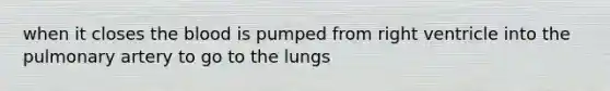 when it closes the blood is pumped from right ventricle into the pulmonary artery to go to the lungs