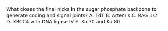 What closes the final nicks in the sugar phosphate backbone to generate coding and signal joints? A. TdT B. Artemis C. RAG-1/2 D. XRCC4 with DNA ligase IV E. Ku 70 and Ku 80