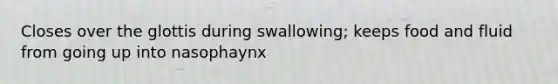 Closes over the glottis during swallowing; keeps food and fluid from going up into nasophaynx