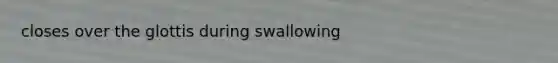 closes over the glottis during swallowing