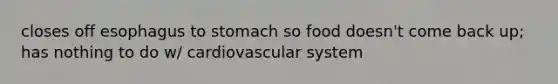 closes off esophagus to stomach so food doesn't come back up; has nothing to do w/ cardiovascular system