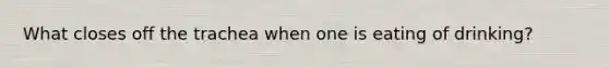 What closes off the trachea when one is eating of drinking?
