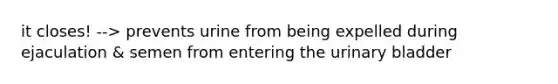 it closes! --> prevents urine from being expelled during ejaculation & semen from entering the urinary bladder