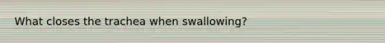 What closes the trachea when swallowing?