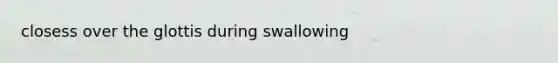 closess over the glottis during swallowing