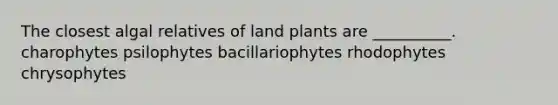 The closest algal relatives of land plants are __________. charophytes psilophytes bacillariophytes rhodophytes chrysophytes