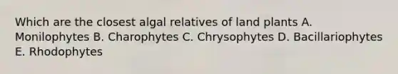 Which are the closest algal relatives of land plants A. Monilophytes B. Charophytes C. Chrysophytes D. Bacillariophytes E. Rhodophytes