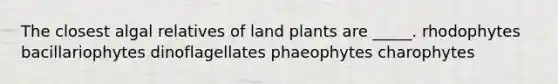 The closest algal relatives of land plants are _____. rhodophytes bacillariophytes dinoflagellates phaeophytes charophytes