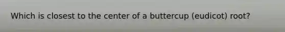 Which is closest to the center of a buttercup (eudicot) root?