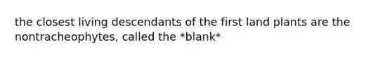 the closest living descendants of the first land plants are the nontracheophytes, called the *blank*