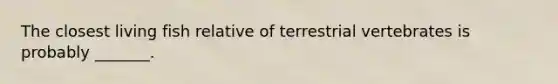 The closest living fish relative of terrestrial vertebrates is probably _______.