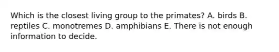 Which is the closest living group to the primates? A. birds B. reptiles C. monotremes D. amphibians E. There is not enough information to decide.