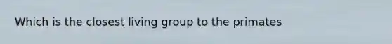 Which is the closest living group to the primates