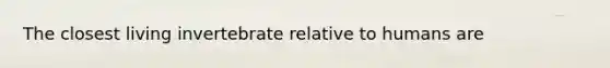 The closest living invertebrate relative to humans are