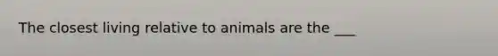 The closest living relative to animals are the ___