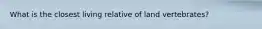 What is the closest living relative of land vertebrates?