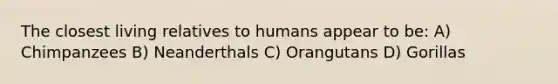 The closest living relatives to humans appear to be: A) Chimpanzees B) Neanderthals C) Orangutans D) Gorillas