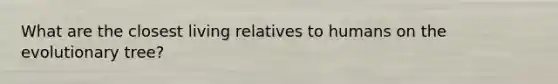 What are the closest living relatives to humans on the evolutionary tree?