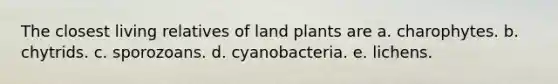 The closest living relatives of land plants are a. charophytes. b. chytrids. c. sporozoans. d. cyanobacteria. e. lichens.