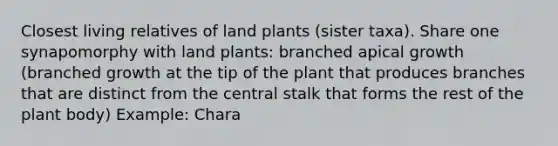 Closest living relatives of land plants (sister taxa). Share one synapomorphy with land plants: branched apical growth (branched growth at the tip of the plant that produces branches that are distinct from the central stalk that forms the rest of the plant body) Example: Chara