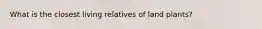 What is the closest living relatives of land plants?