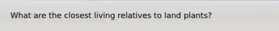 What are the closest living relatives to land plants?