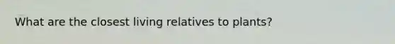 What are the closest living relatives to plants?