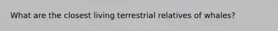 What are the closest living terrestrial relatives of whales?