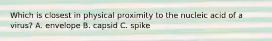 Which is closest in physical proximity to the nucleic acid of a virus? A. envelope B. capsid C. spike