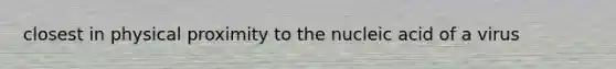 closest in physical proximity to the nucleic acid of a virus