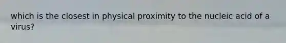 which is the closest in physical proximity to the nucleic acid of a virus?