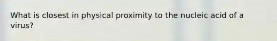 What is closest in physical proximity to the nucleic acid of a virus?