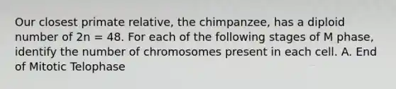 Our closest primate relative, the chimpanzee, has a diploid number of 2n = 48. For each of the following stages of M phase, identify the number of chromosomes present in each cell. A. End of Mitotic Telophase