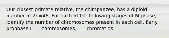 Our closest primate relative, the chimpanzee, has a diploid number of 2n=48. For each of the following stages of M phase, identify the number of chromosomes present in each cell. Early prophase I. ___chromosomes, ___ chromatids.